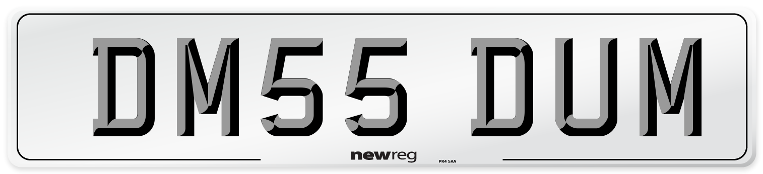 DM55 DUM Number Plate from New Reg